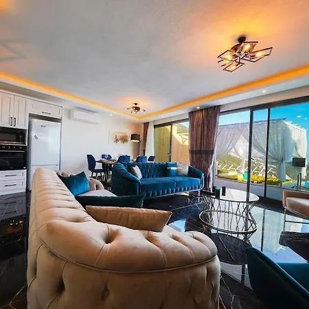 Berlin - Hill Kalkan